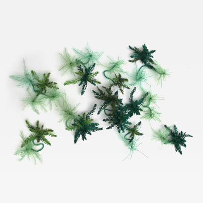 Julie Percillier Myriophyllium