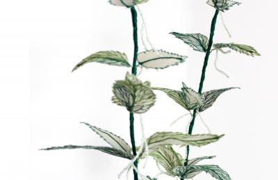 Julie Percillier Orties