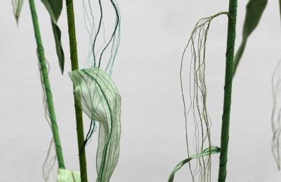 Julie Percillier Roseaux communs