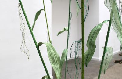 Julie Percillier Roseaux communs