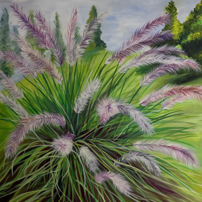 Julie Whitehead Fountain Grass 2