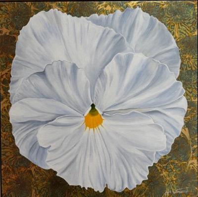 Julie Whitehead White Pansy