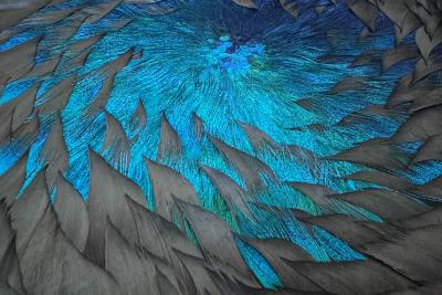 Julien Vermeulen Little Black Argos VI