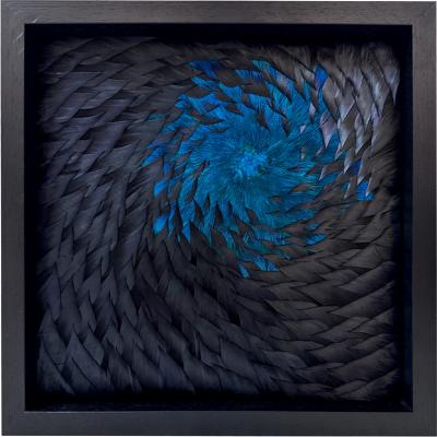 Julien Vermeulen Little Black Argos VI