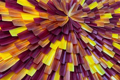 Julien Vermeulen Sunrise