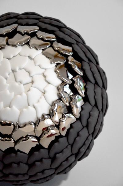 Juliette Clovis Echeveria SIlver Queen