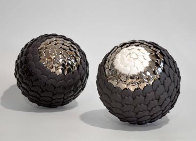 Juliette Clovis Echeveria SIlver Queen