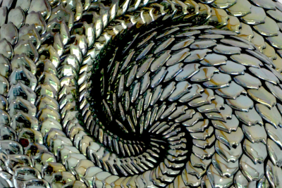 Juliette Clovis Green Ammonite Endless Series