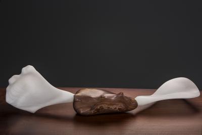 Julio Mart nez Barnetche HEAD OF BONE CABEZA DE HUESO sculpture