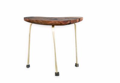 Julio Mart nez Barnetche WHALE side table