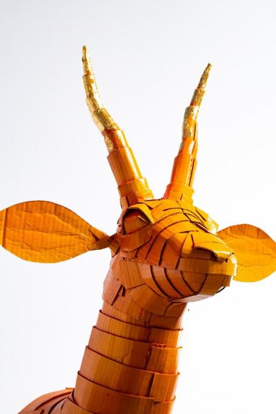 Justin King Gazelle 5 in Persimmon Orange with Gold Leaf Horn Detail
