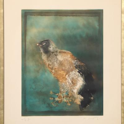 KAIKO MOTI Kaiko MOTI LAiglon Aqua Tinted Color Etching Signed in Graphite