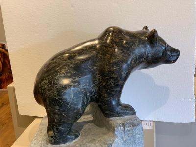 Kaelen Jenkins Little Bear