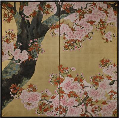 Kano Sanrakuki Early 20th Century Japanese Cherry Blossom Screen