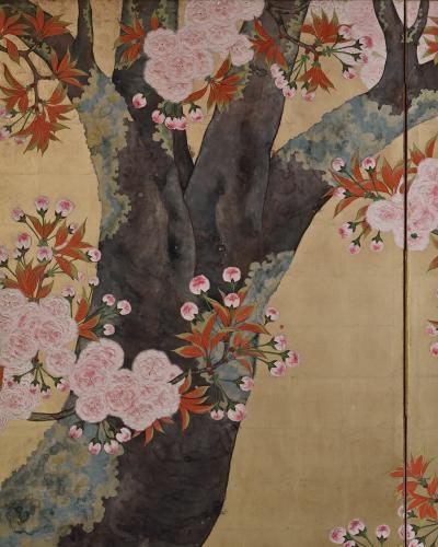 Kano Sanrakuki Early 20th Century Japanese Cherry Blossom Screen