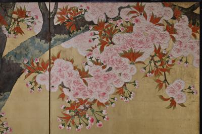 Kano Sanrakuki Early 20th Century Japanese Cherry Blossom Screen