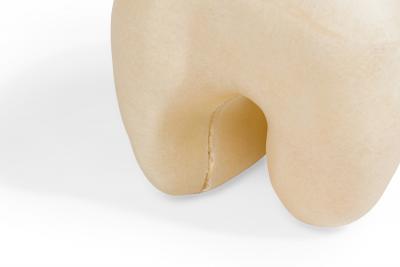 Kar Studio Chinese Contemporary Beige Fiberglass Tooth Stool