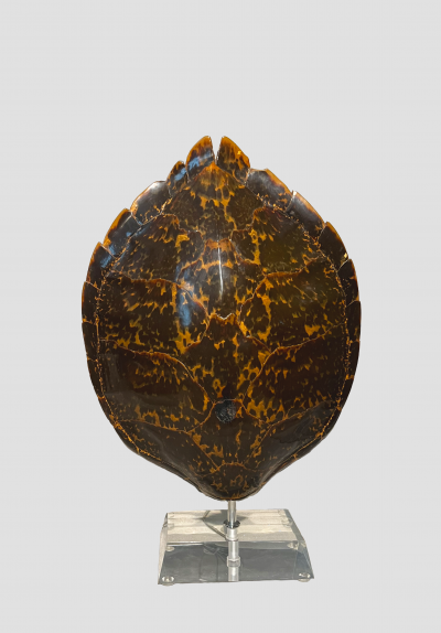Karl Springer 1970s Karl Springer Tortoise Shell Lamp
