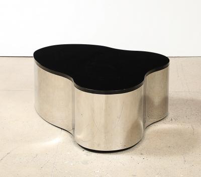 Karl Springer Freeform Cocktail Table by Karl Springer