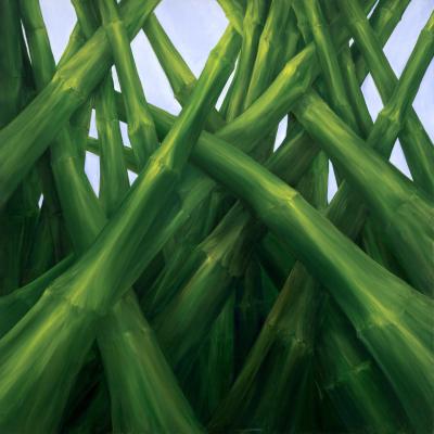 Kathy Hoets Bamboo