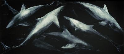 Kathy Hoets Blue Sharks