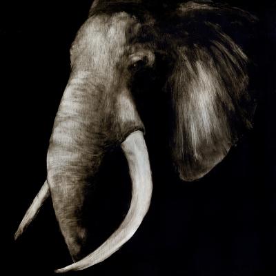 Kathy Hoets Elephant Tusks