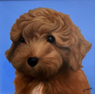 Kathy Hoets Kathy Hoet Pet Projects Goldendoodle Blue