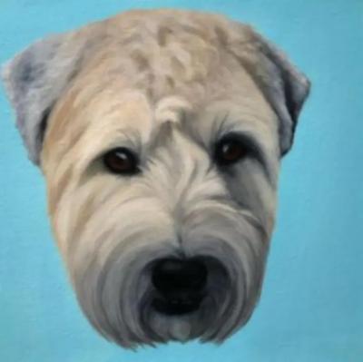 Kathy Hoets Pet Projects