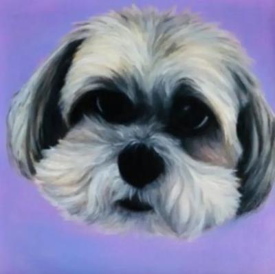 Kathy Hoets Pet Projects