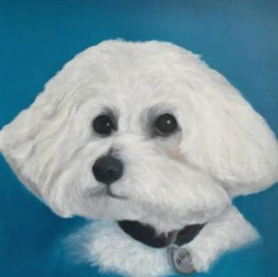 Kathy Hoets Pet Projects