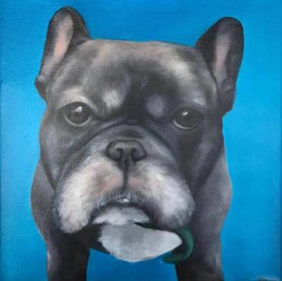 Kathy Hoets Pet Projects