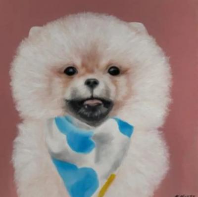 Kathy Hoets Pet Projects