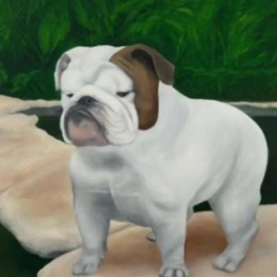 Kathy Hoets Pet Projects Bulldog Outdoors