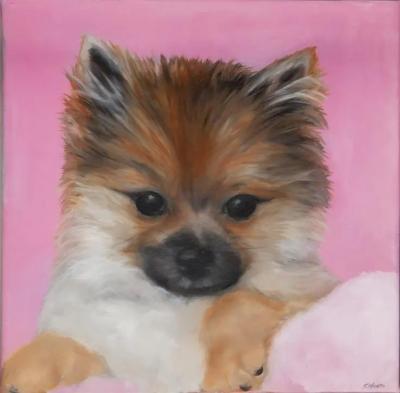 Kathy Hoets Pet Projects Pink Pomeranian