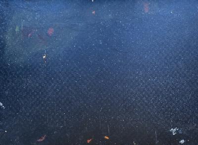 Kay L Kellogg Misty Morning Gloucester 