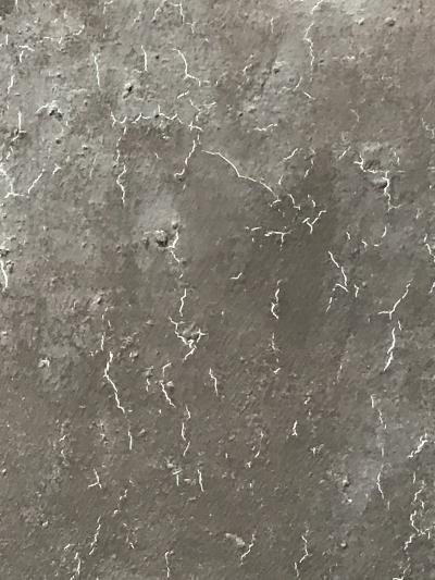 Kenji Yoshida Revelation