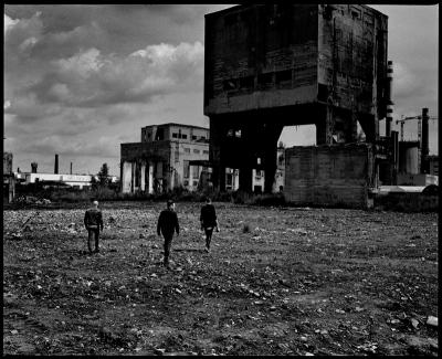 Kevin Westenberg The Script