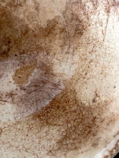 Korean Buncheong Ceramic Hakeme Tea Bowl with White Slip Glaze Joseon Dynasty