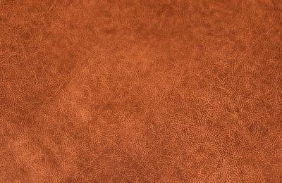 Kurt stervig Kurt Ostervig Kurt stervig Cognac Leather Wing Chairs for Rolschau Mobler