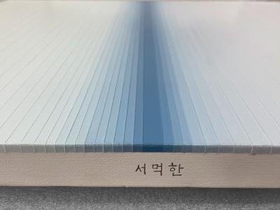 Kyong Lee Emotional color change 62