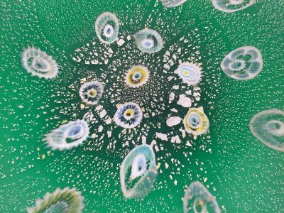 LARGE MODERN MILLEFIORI CANES MURANO GLASS CHARGER