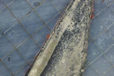 Laddie John Dill Laddie John Dill B 1943 Abstract Mixed Media Dtd 1981