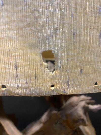 Large 1940s Driftwood Table Lamp