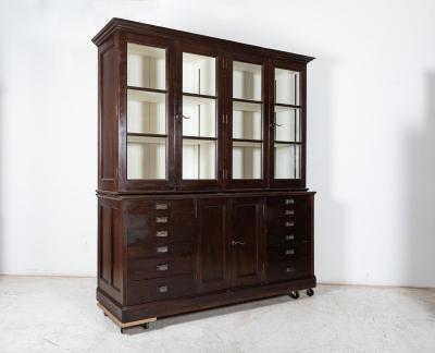 Large 19thC English Specimen Display Cabinet Bookcase