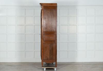 Large 19thC French Fruitwood Armoire