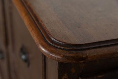 Large 19thC French Mahogany Pine Painted Counter Drawers