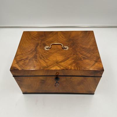 Large Biedermeier Box or Chest Walnut Veneer Brass South Germany circa 1820