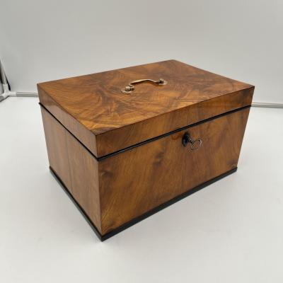 Large Biedermeier Box or Chest Walnut Veneer Brass South Germany circa 1820