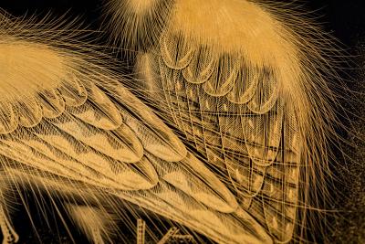 Large Black Lacquer Charger