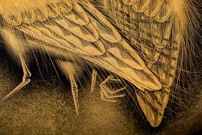 Large Black Lacquer Charger